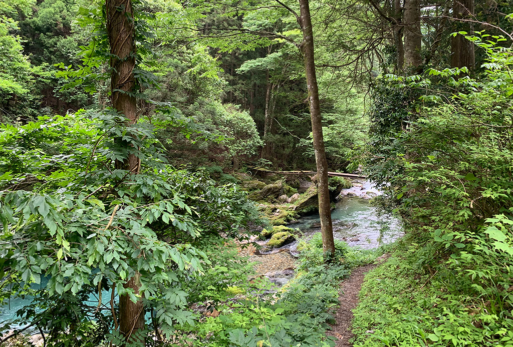 Ikigai Retreat - Tajimi, Japan