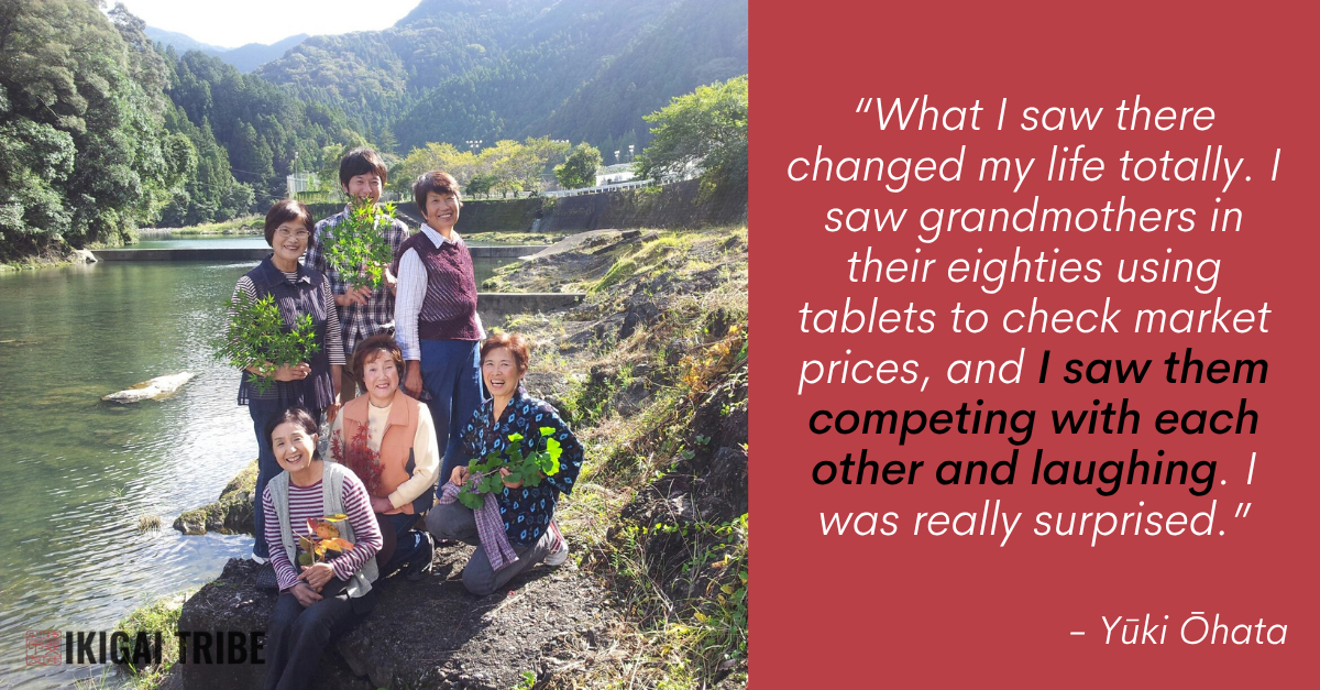 Japan's elderly leaf farmers. 