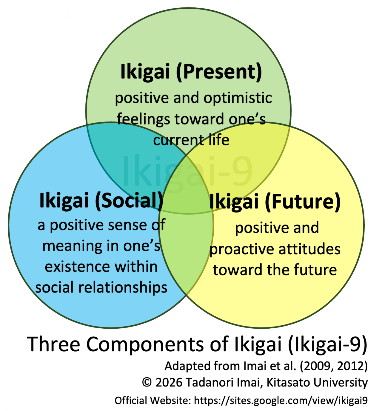 Three Components of the Ikigai-9