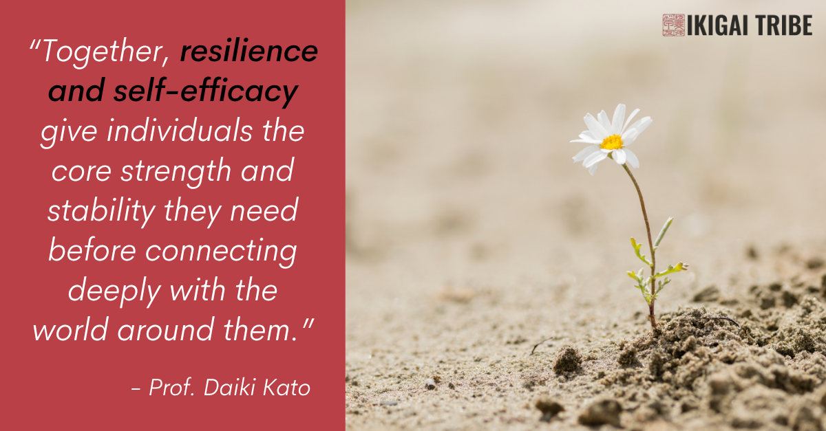 Resilience and self-efficacy. Resilience and self-efficacy.